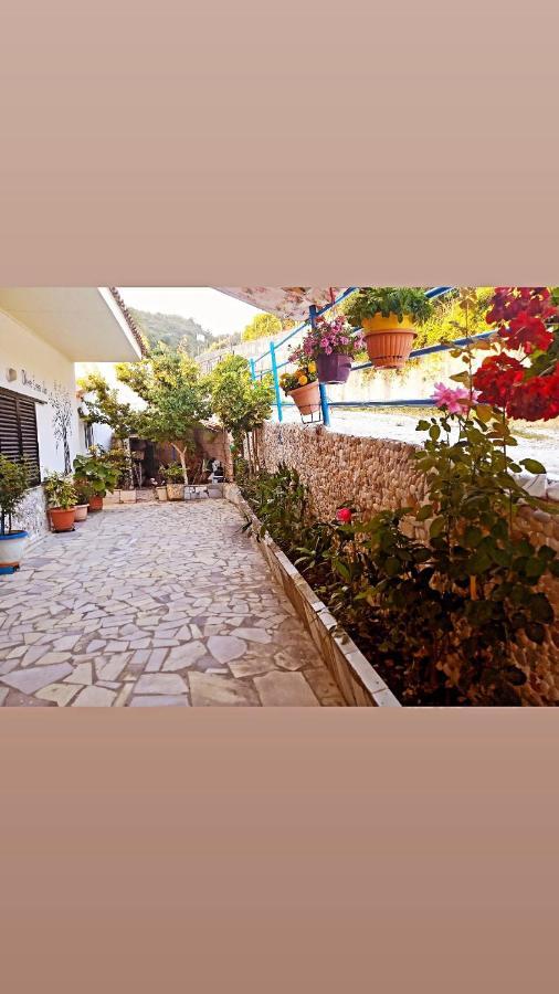 לייה Olive Tree Villa מראה חיצוני תמונה