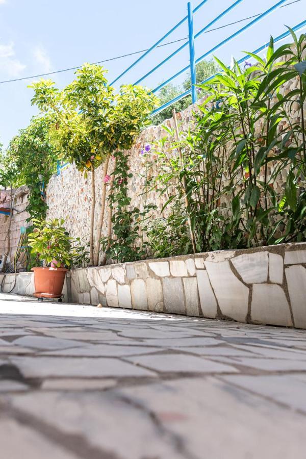 לייה Olive Tree Villa מראה חיצוני תמונה