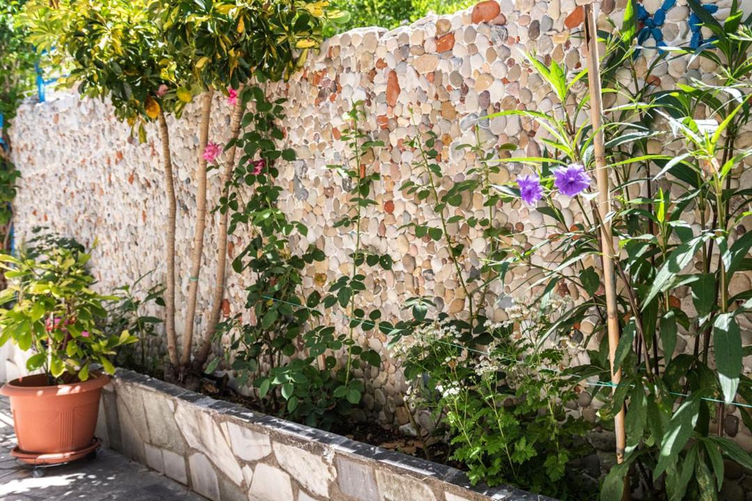 לייה Olive Tree Villa מראה חיצוני תמונה