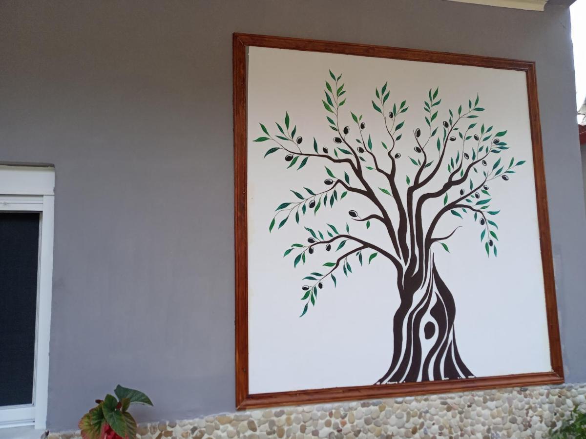 לייה Olive Tree Villa מראה חיצוני תמונה